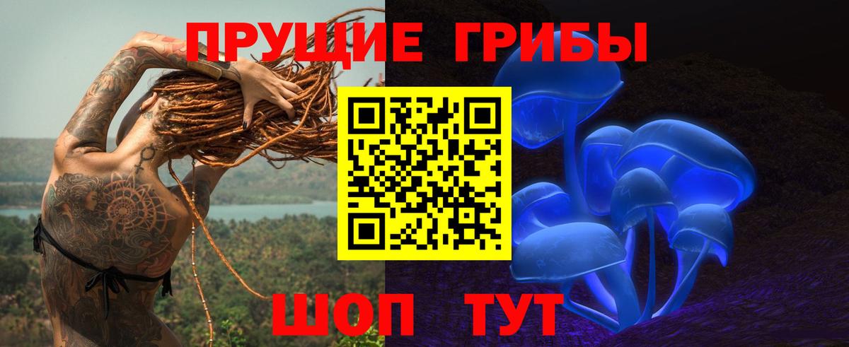 Галлюциногенные грибы MAGIC MUSHROOMS  Вход с VPN  Сальск 